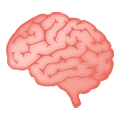 Emoji 🧠 Cervello su Samsung One UI 2.5.