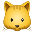 Emoji 🐱 Muso Di Gatto su Samsung One UI 2.5.