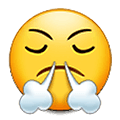 Emoji 😤 Faccina Che Sbuffa su Samsung One UI 2.5.
