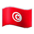 Émoji 🇹🇳 Drapeau : Tunisie sur Samsung One UI 2.5.