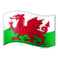 Emoji 🏴󠁧󠁢󠁷󠁬󠁳󠁿 Bandiera: Galles su Samsung One UI 2.5.