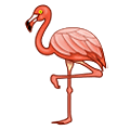 🦩 Emoji Flamingo Samsung One UI 2.5.