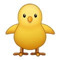🐥 Emoji Pollito De Frente en Samsung One UI 2.5.