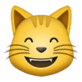 😸 Emoji Rosto De Gato Sorrindo Com Olhos Sorridentes na Samsung One UI 2.5.
