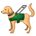 🦮 Emoji Perro Guía en Samsung One UI 2.5.
