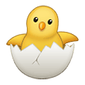 Emoji 🐣 Pulcino Che Nasce su Samsung One UI 2.5.