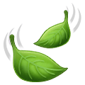 🍃 Emoji Blätter im Wind Samsung One UI 2.5.