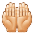 Emoji 🤲🏻 Mani Unite In Alto: Carnagione Chiara su Samsung One UI 2.5.
