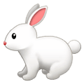 🐇 Emoji Conejo en Samsung One UI 2.5.