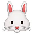 🐰 Emoji Cara De Conejo en Samsung One UI 2.5.