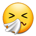 🤧 Emoji niesendes Gesicht Samsung One UI 2.5.
