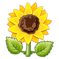🌻 Emoji Sonnenblume Samsung One UI 2.5.
