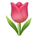 🌷 Emoji Tulipa na Samsung One UI 2.5.