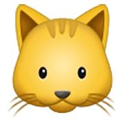 🐱 Emoji Cara De Gato en Samsung One UI 3.1.1.