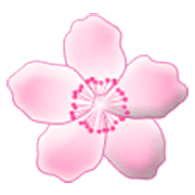 🌸 Emoji Flor De Cerejeira na Samsung One UI 3.1.1.