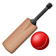 Émoji 🏏 Cricket sur Samsung One UI 3.1.1.