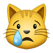 😿 Emoji Gato Llorando en Samsung One UI 3.1.1.