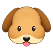 🐶 Emoji Rosto De Cachorro na Samsung One UI 3.1.1.