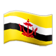 🇧🇳 Emoji Flagge: Brunei Darussalam Samsung One UI 3.1.1.