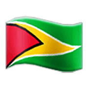 🇬🇾 Emoji Bandera: Guyana en Samsung One UI 3.1.1.