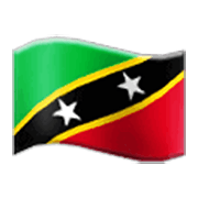 🇰🇳 Emoji Flagge: St. Kitts und Nevis Samsung One UI 3.1.1.