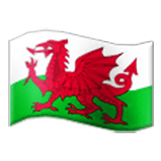 🏴󠁧󠁢󠁷󠁬󠁳󠁿 Emoji Bandeira: País De Gales na Samsung One UI 3.1.1.