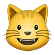 Emoji 😺 Gatto Che Sorride su Samsung One UI 3.1.1.
