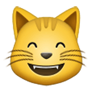 😸 Emoji Gato Sonriendo Con Ojos Sonrientes en Samsung One UI 3.1.1.