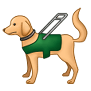Emoji 🦮 Cane Guida su Samsung One UI 3.1.1.