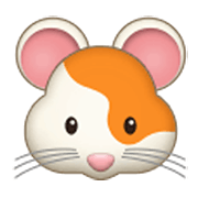 Émoji 🐹 Hamster sur Samsung One UI 3.1.1.
