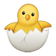 🐣 Emoji Pollito Rompiendo El Cascarón en Samsung One UI 3.1.1.