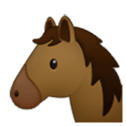 Emoji 🐴 Muso Di Cavallo su Samsung One UI 3.1.1.