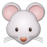 Emoji 🐭 Muso Di Topo su Samsung One UI 3.1.1.
