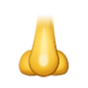 Emoji 👃 Naso su Samsung One UI 3.1.1.