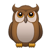 Emoji 🦉 Gufo su Samsung One UI 3.1.1.