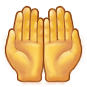 🤲 Emoji Handflächen nach oben Samsung One UI 3.1.1.
