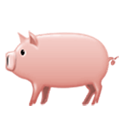 🐖 Emoji Schwein Samsung One UI 3.1.1.