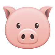 Emoji 🐷 Muso Di Maiale su Samsung One UI 3.1.1.