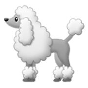 🐩 Emoji Poodle na Samsung One UI 3.1.1.