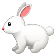 🐇 Emoji Conejo en Samsung One UI 3.1.1.