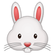 🐰 Emoji Cara De Conejo en Samsung One UI 3.1.1.