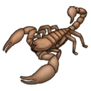 Émoji 🦂 Scorpion sur Samsung One UI 3.1.1.