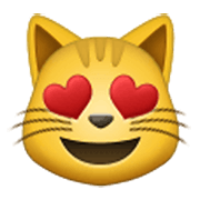 😻 Emoji Rosto De Gato Sorridente Com Olhos De Coração na Samsung One UI 3.1.1.