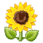 🌻 Emoji Sonnenblume Samsung One UI 3.1.1.