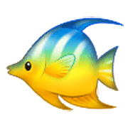 Emoji 🐠 Pesce Tropicale su Samsung One UI 3.1.1.