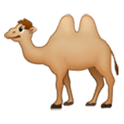 🐫 Emoji Camello en Samsung One UI 3.1.1.