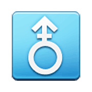 ⚨ Emoji Vertikales männliches Zeichen mit Strich Samsung One UI 3.1.1.