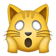 🙀 Emoji erschöpfte Katze Samsung One UI 3.1.1.