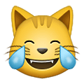Emoji 😹 Gatto Con Lacrime Di Gioia su Samsung One UI 4.0 January 2022.