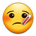 🤒 Emoji Gesicht mit Fieberthermometer Samsung One UI 4.0 January 2022.